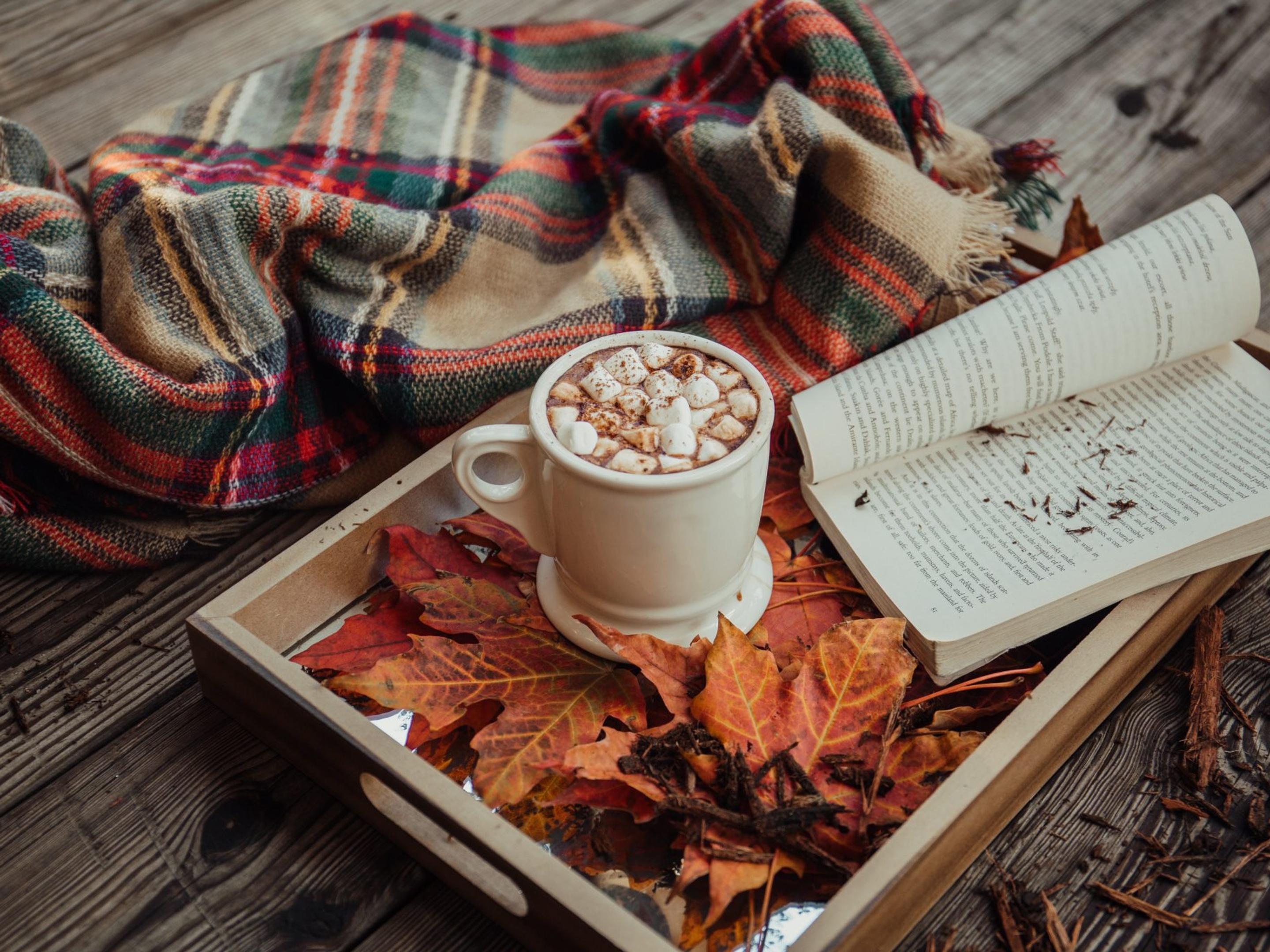 Exploring the Perfect Fall Aesthetic for Your Life - 1