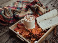 Exploring the Perfect Fall Aesthetic for Your Life